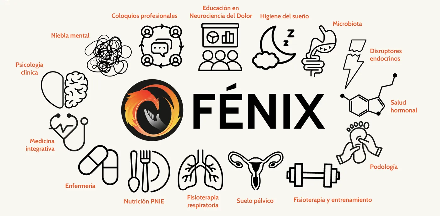 Las 15 áreas del Programa Fénix coordinadas entre sí